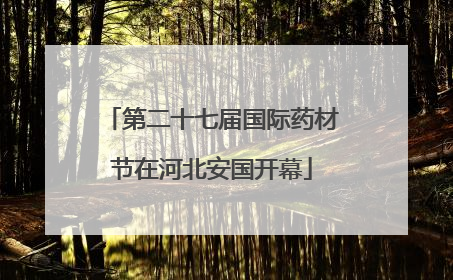 第二十七届国际药材节在河北安国开幕