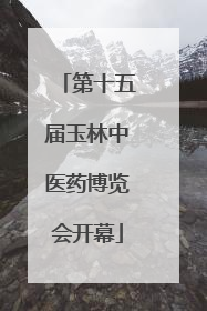 第十五届玉林中医药博览会开幕