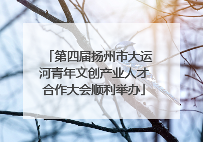 第四届扬州市大运河青年文创产业人才合作大会顺利举办