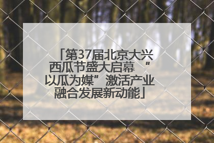 第37届北京大兴西瓜节盛大启幕 “以瓜为媒”激活产业融合发展新动能