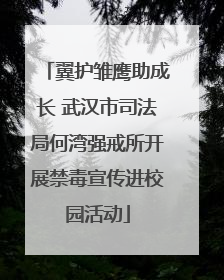 翼护雏鹰助成长 武汉市司法局何湾强戒所开展禁毒宣传进校园活动