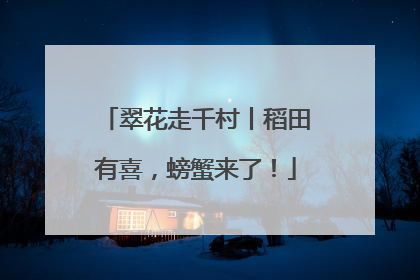 翠花走千村丨稻田有喜，螃蟹来了！