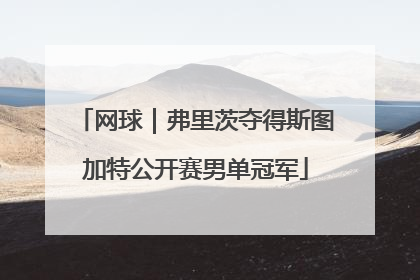 网球｜弗里茨夺得斯图加特公开赛男单冠军