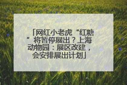 网红小老虎“红糖”将暂停展出？上海动物园：展区改建，会安排展出计划