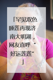 罕见双色睡莲再现济南大明湖，网友直呼“好运莲莲”