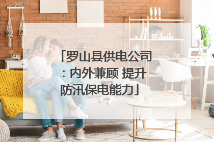 罗山县供电公司：内外兼顾 提升防汛保电能力