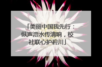 美丽中国我先行：纵声澧水传清响，校社联心护碧川