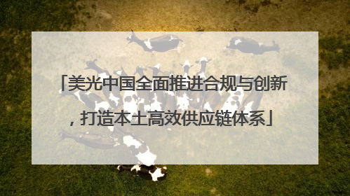 美光中国全面推进合规与创新，打造本土高效供应链体系