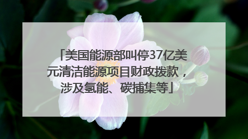 美国能源部叫停37亿美元清洁能源项目财政拨款，涉及氢能、碳捕集等