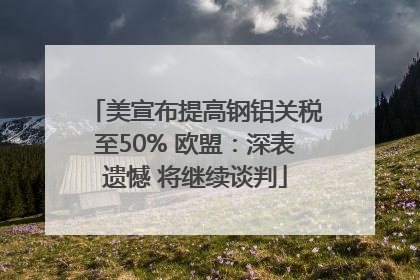 美宣布提高钢铝关税至50% 欧盟：深表遗憾 将继续谈判