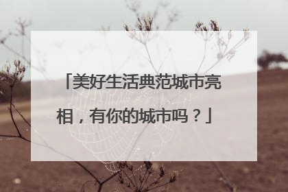 美好生活典范城市亮相，有你的城市吗？