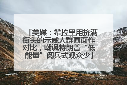 美媒：希拉里用挤满街头的示威人群画面作对比，嘲讽特朗普“低能量”阅兵式观众少