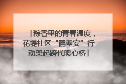 粽香里的青春温度，花堤社区“鹤耋安”行动架起跨代暖心桥
