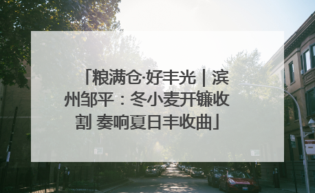 粮满仓·好丰光｜滨州邹平：冬小麦开镰收割 奏响夏日丰收曲