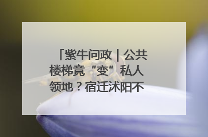 紫牛问政｜公共楼梯竟“变”私人领地？宿迁沭阳不动产登记引质疑