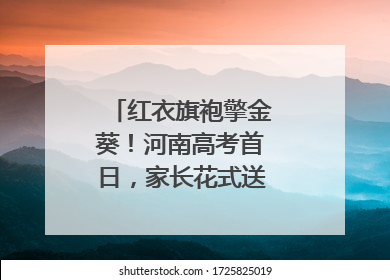 红衣旗袍擎金葵！河南高考首日，家长花式送考藏满爱与盼