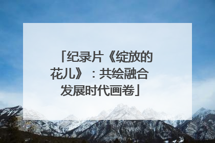 纪录片《绽放的花儿》：共绘融合发展时代画卷