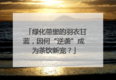 绿化带里的羽衣甘蓝，因何“逆袭”成为茶饮新宠？