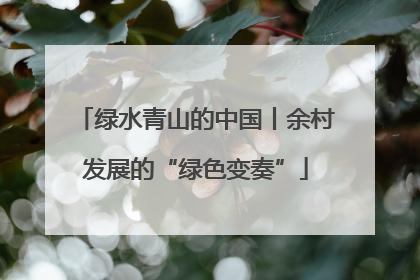 绿水青山的中国丨余村发展的“绿色变奏”