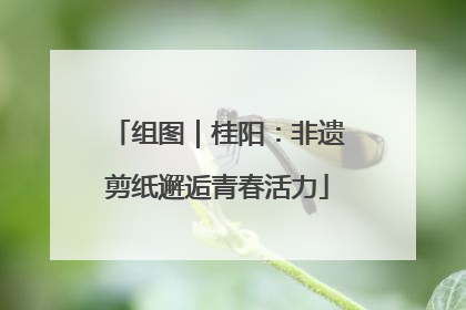 组图｜桂阳：非遗剪纸邂逅青春活力