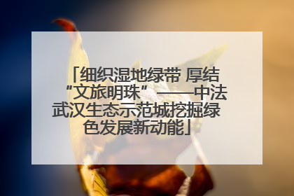 细织湿地绿带 厚结“文旅明珠”——中法武汉生态示范城挖掘绿色发展新动能