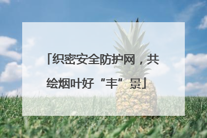 织密安全防护网，共绘烟叶好“丰”景