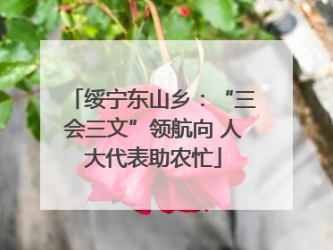绥宁东山乡：“三会三文”领航向 人大代表助农忙