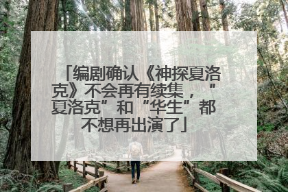 编剧确认《神探夏洛克》不会再有续集，“夏洛克”和“华生”都不想再出演了