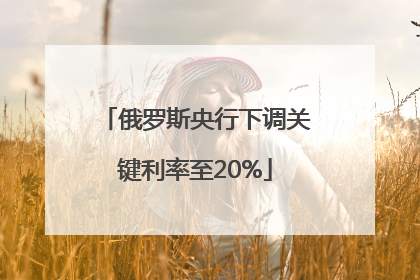 俄罗斯央行下调关键利率至20%