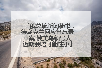 俄总统新闻秘书：待乌克兰回应备忘录草案 俄美乌领导人近期会晤可能性小