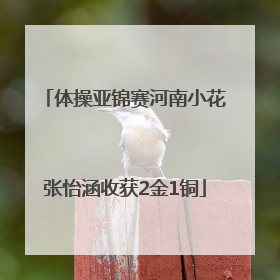体操亚锦赛河南小花张怡涵收获2金1铜