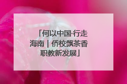 何以中国·行走海南｜侨校飘茶香 职教新发展