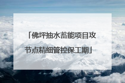 佛坪抽水蓄能项目攻节点精细管控保工期