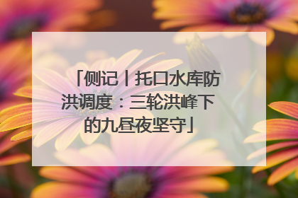 侧记丨托口水库防洪调度：三轮洪峰下的九昼夜坚守