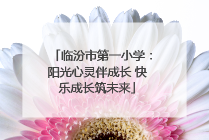 临汾市第一小学：阳光心灵伴成长 快乐成长筑未来