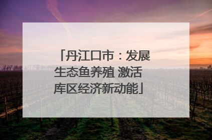 丹江口市：发展生态鱼养殖 激活库区经济新动能
