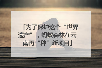 为了保护这个“世界遗产”，蚂蚁森林在云南再“种”新项目