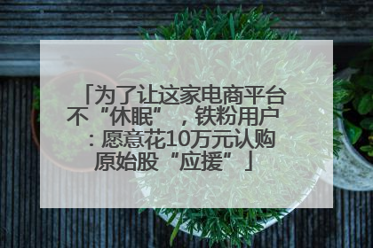 为了让这家电商平台不“休眠”，铁粉用户：愿意花10万元认购原始股“应援”