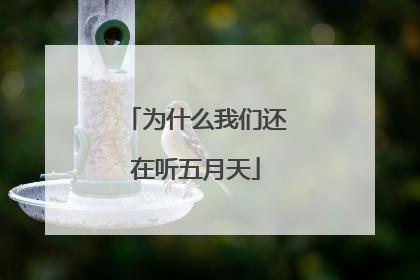 为什么我们还在听五月天