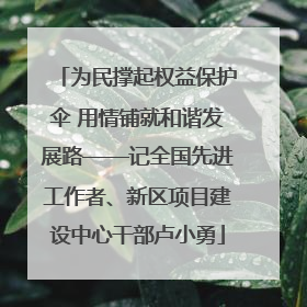 为民撑起权益保护伞 用情铺就和谐发展路——记全国先进工作者、新区项目建设中心干部卢小勇