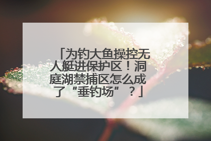为钓大鱼操控无人艇进保护区！洞庭湖禁捕区怎么成了“垂钓场”？