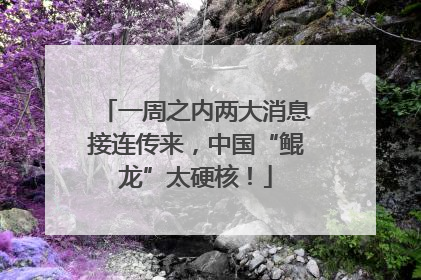 一周之内两大消息接连传来，中国“鲲龙”太硬核！