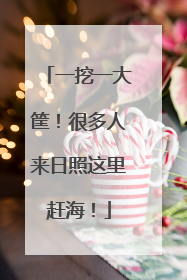 一挖一大筐！很多人来日照这里赶海！