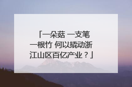 一朵菇 一支笔 一根竹 何以撬动浙江山区百亿产业？