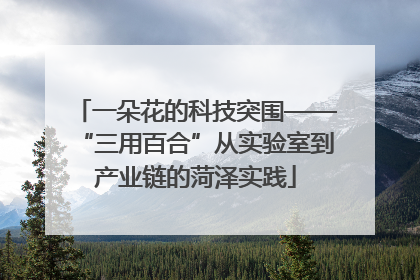 一朵花的科技突围——“三用百合”从实验室到产业链的菏泽实践