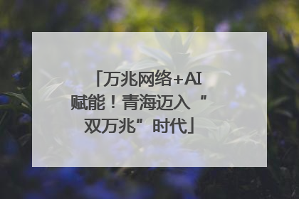 万兆网络+AI赋能！青海迈入“双万兆”时代