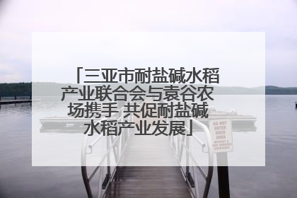 三亚市耐盐碱水稻产业联合会与袁谷农场携手 共促耐盐碱水稻产业发展