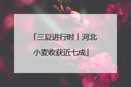 三夏进行时丨河北小麦收获近七成