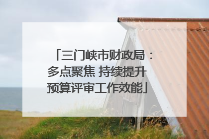 三门峡市财政局：多点聚焦 持续提升预算评审工作效能