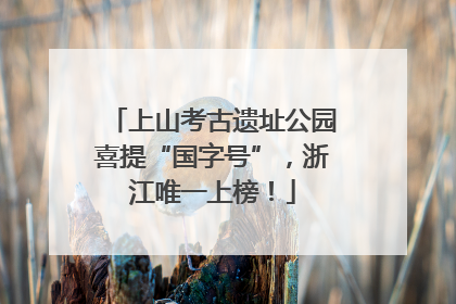 上山考古遗址公园喜提“国字号”，浙江唯一上榜！